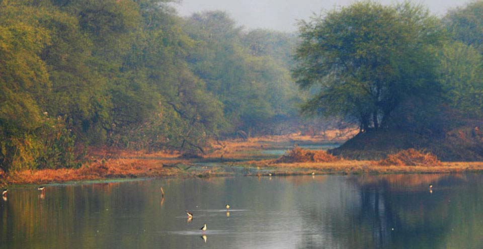 SARDAR SAMAND LAKE